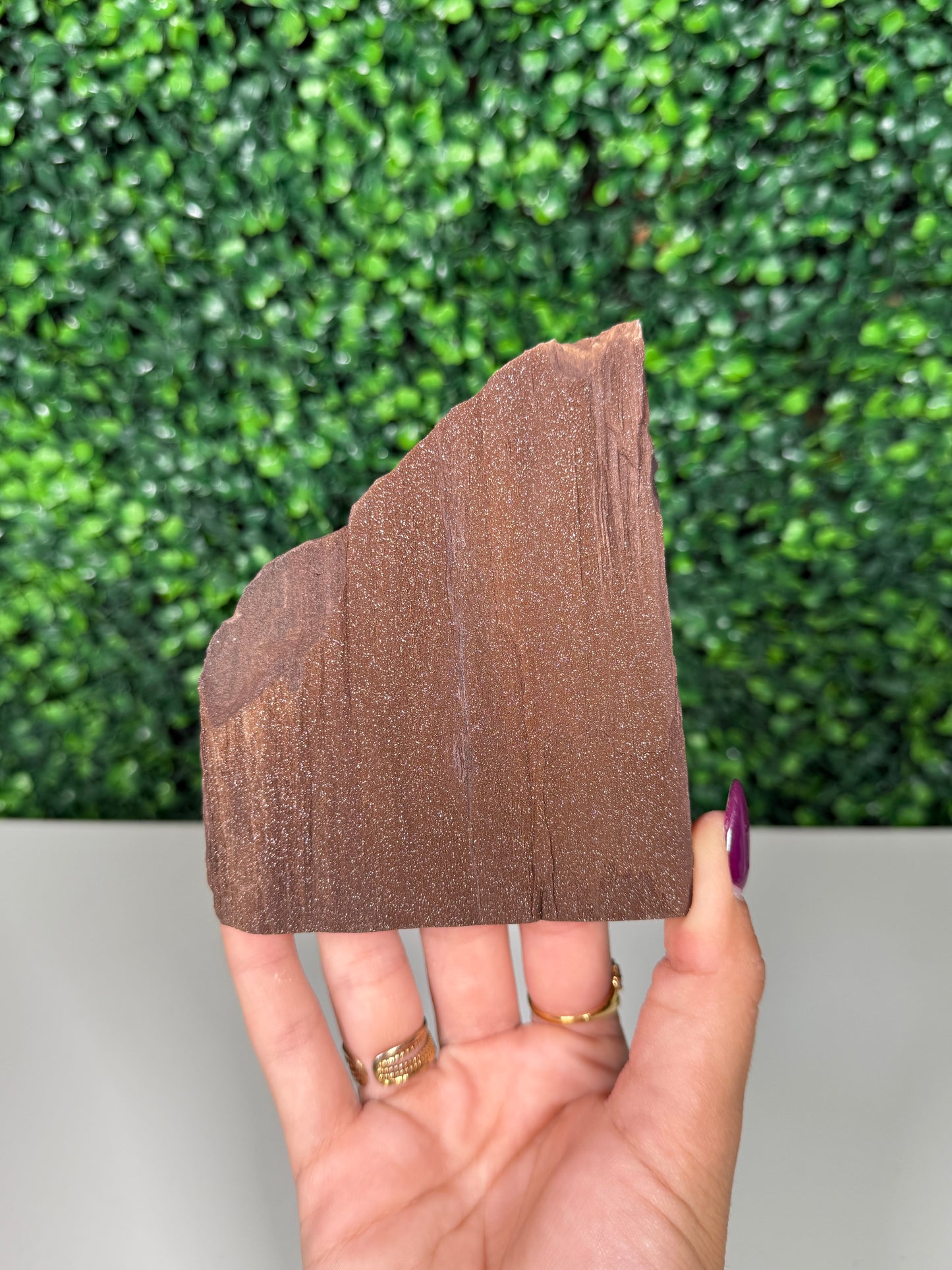 Self-Standing Permineralized Wood (125)