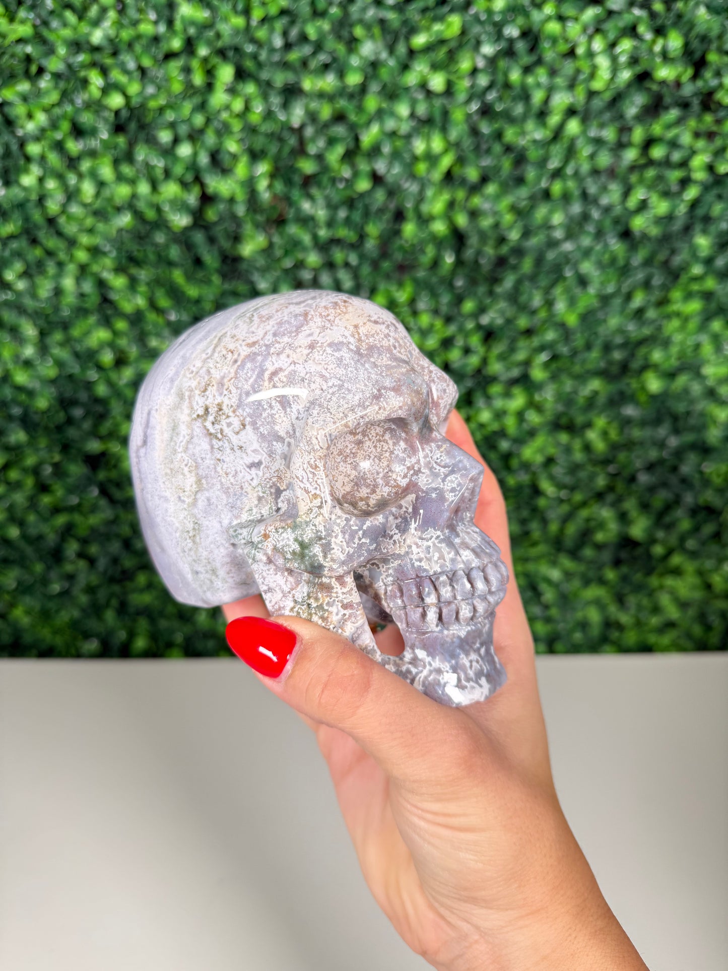 Sea Jasper Skull (137k)