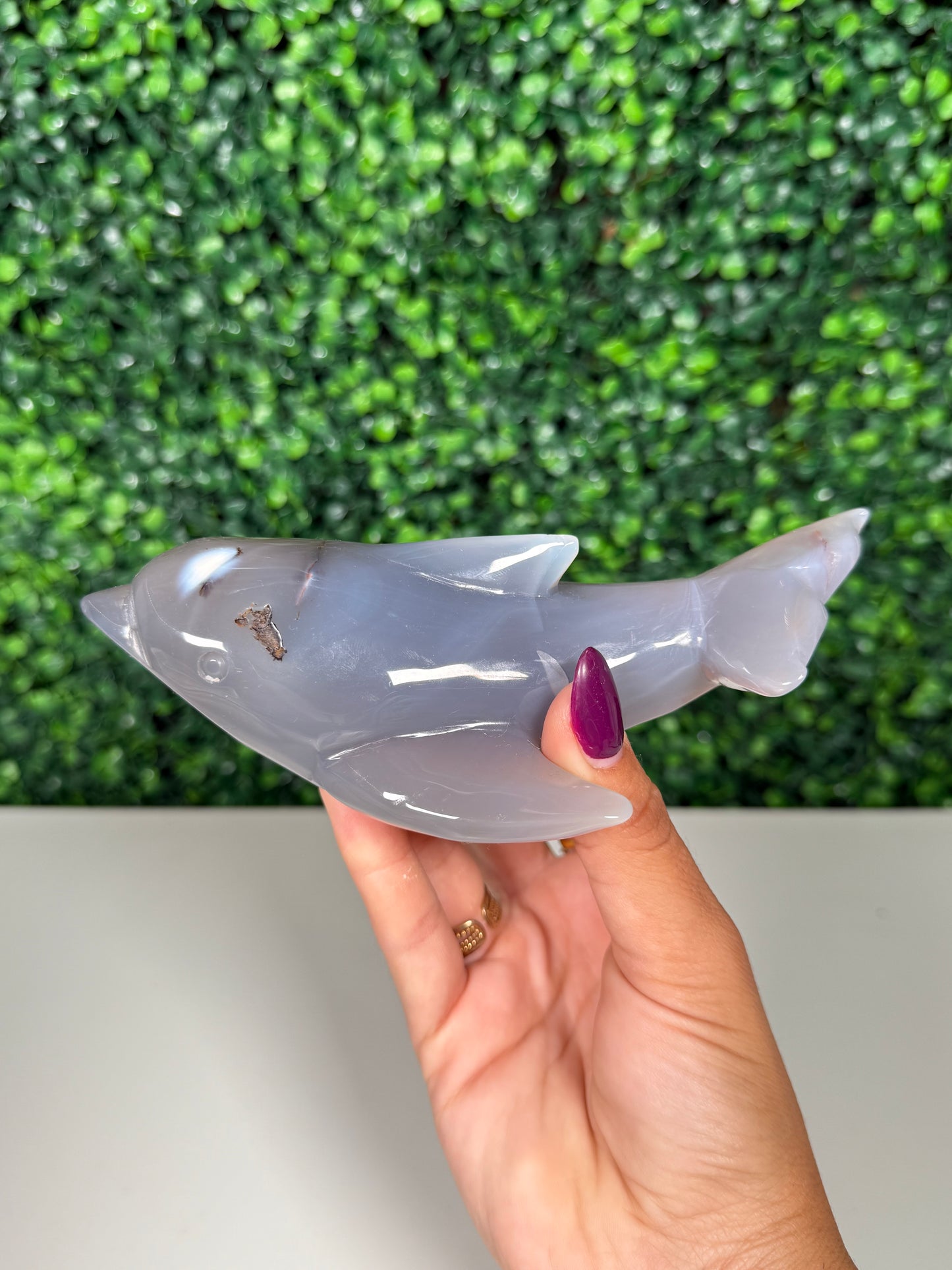 Orca Agate Dolphin (70d)