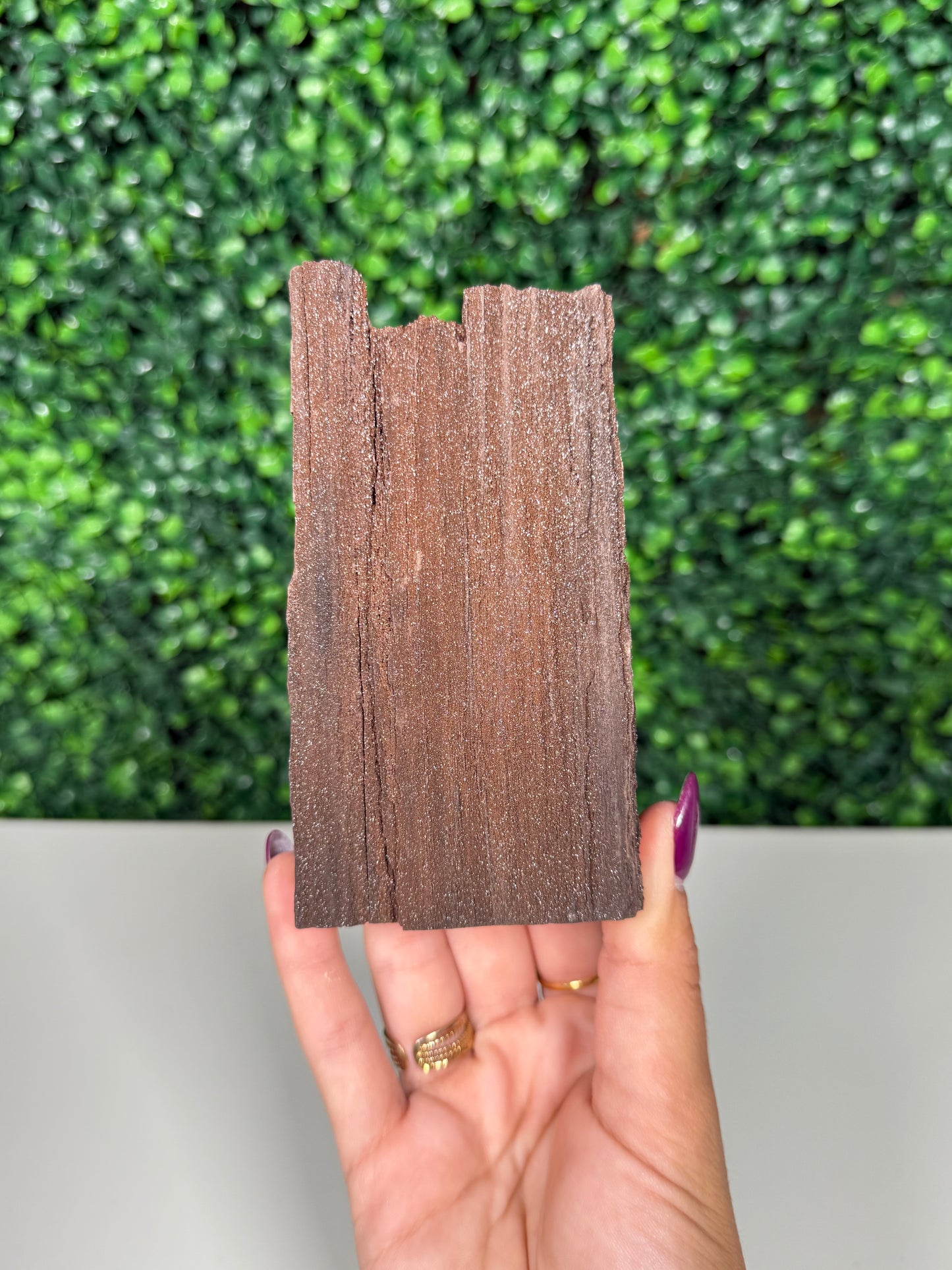 Self-Standing Permineralized Wood (160n)