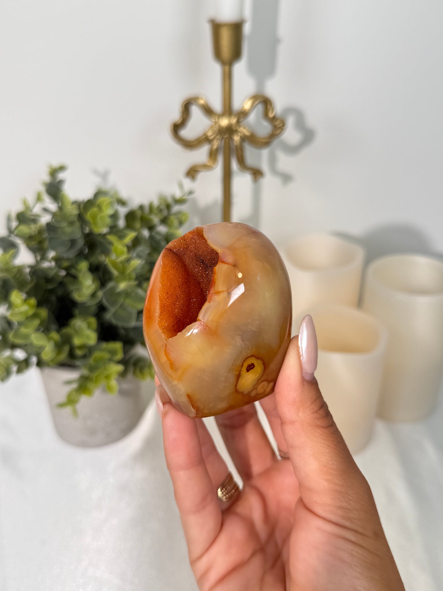 Carnelian Freeform (18n)