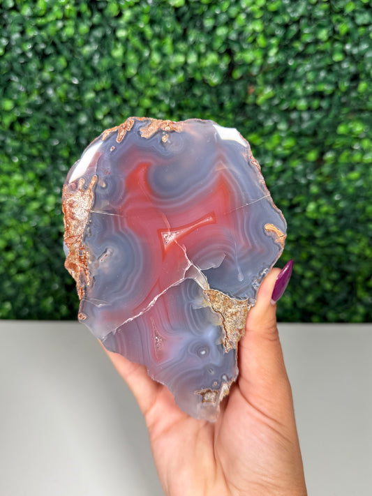 Swazi Agate (180s)