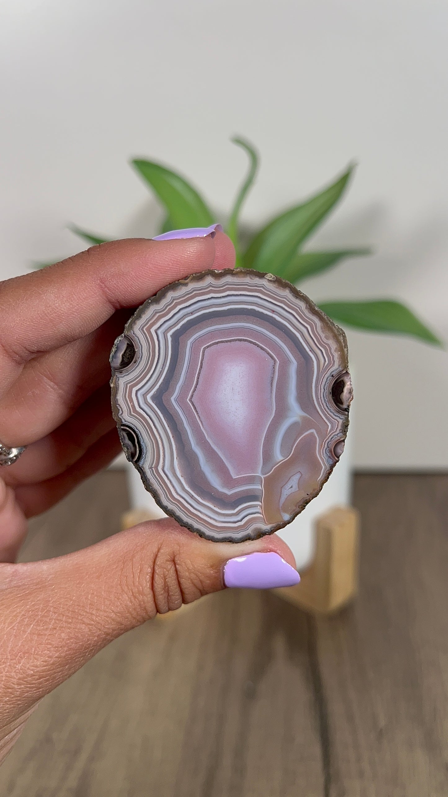 Zhangou Agate Half (213)