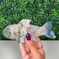 Sea Jasper Shark (53e)
