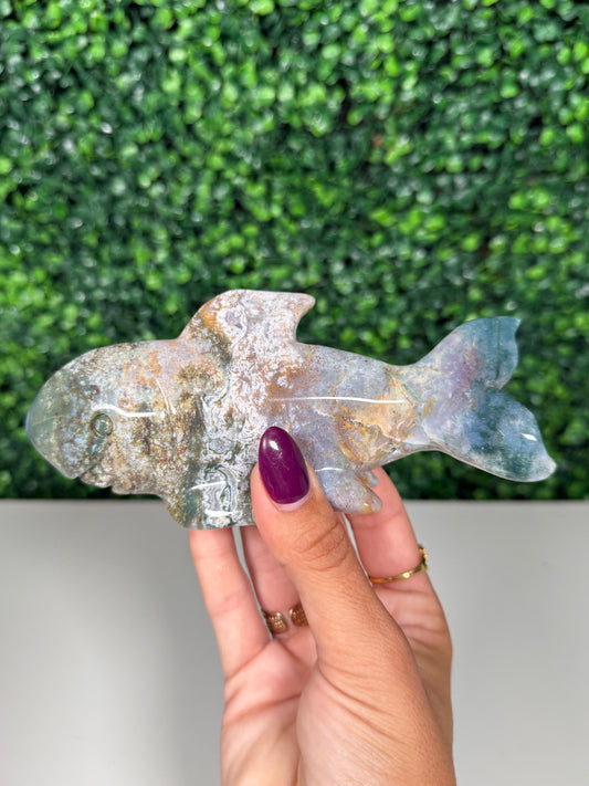 Sea Jasper Shark (53e)