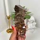 Smokey Quartz Geometrical Carving (186c)