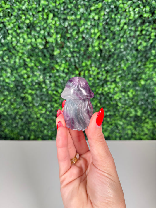 Fluorite Jellyfish (24)