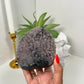 Amethyst Cutbase (101)