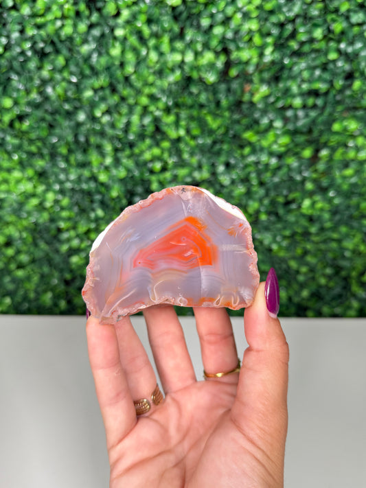 Patagonia Agate (235)
