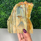 Self Standing Green Bogwood (275)
