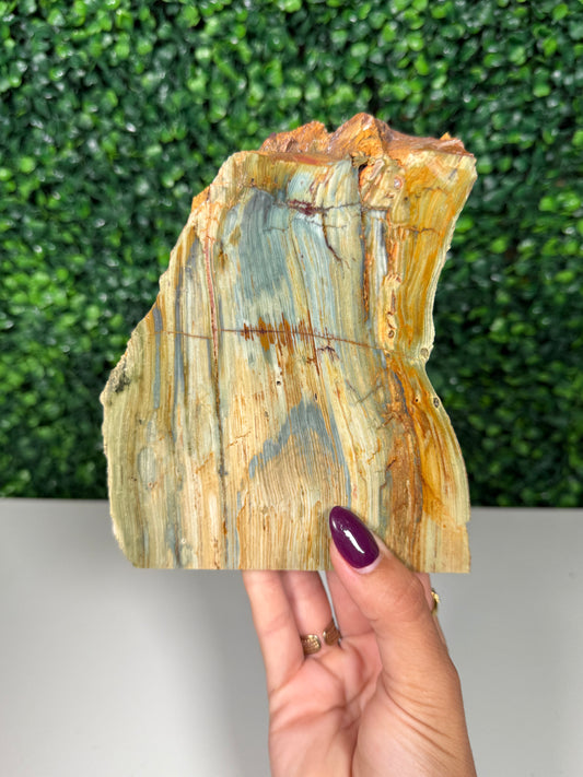 Self Standing Green Bogwood (275)
