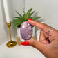 Turkish Jade Palm (25d)