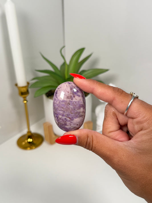 Turkish Jade Palm (25d)