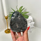 Amethyst Cutbase (74L)