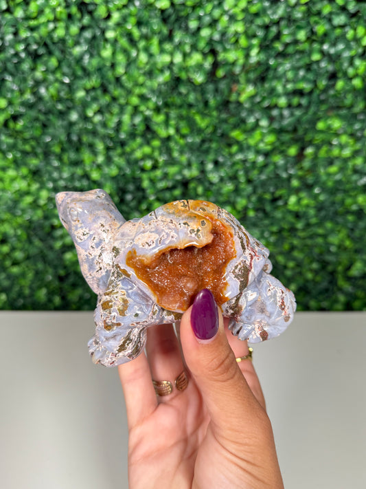 Sea Jasper Turtle (72u)