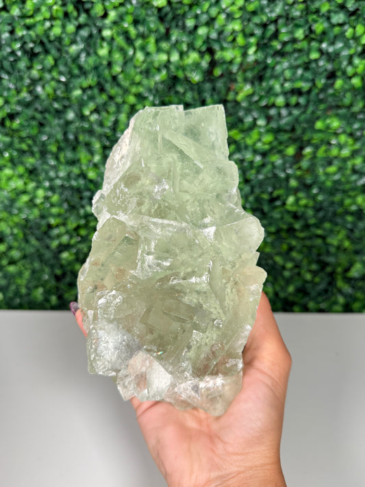 Green Fluorite from Hunan China (500)