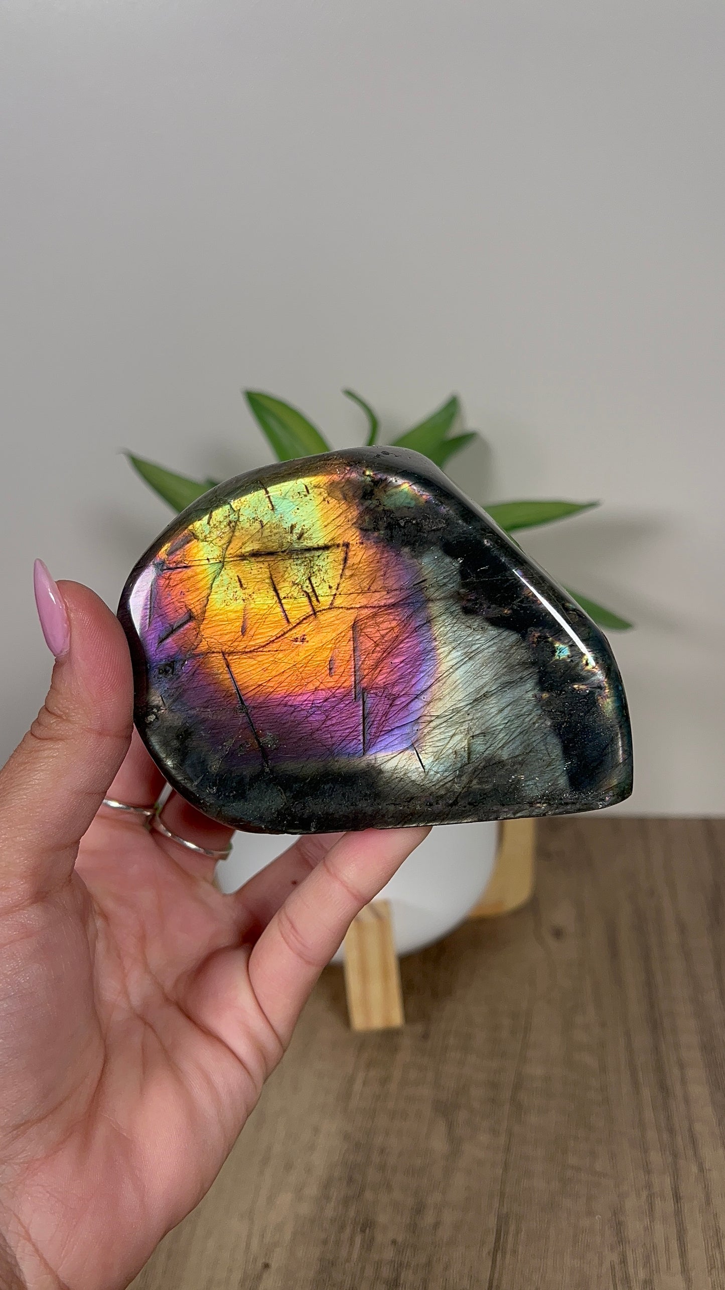 Labradorite Freeform (102j)