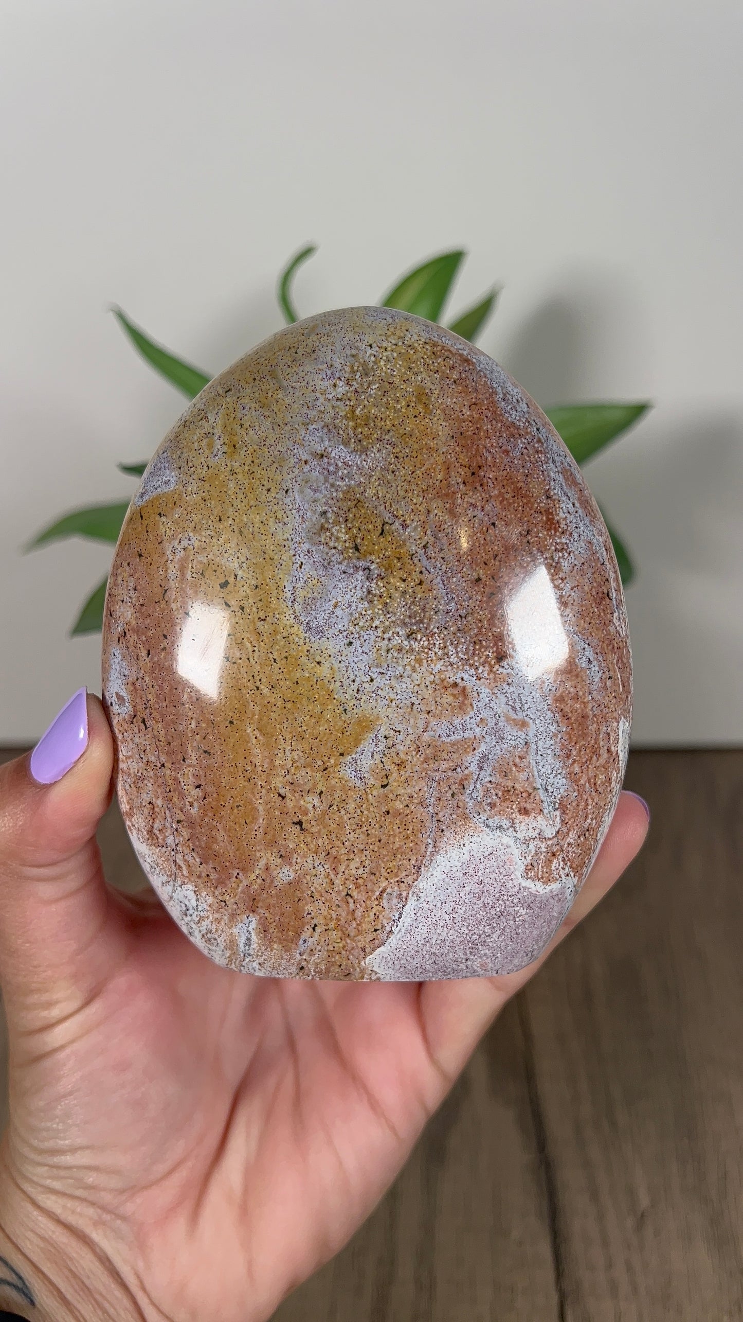 Unicorn Jasper Freeform (70b)