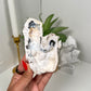 Agatized Coral from Florida (48k)