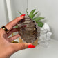 Smokey Quartz Geometrical Carving (171y)