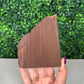 Self-Standing Permineralized Wood (125)