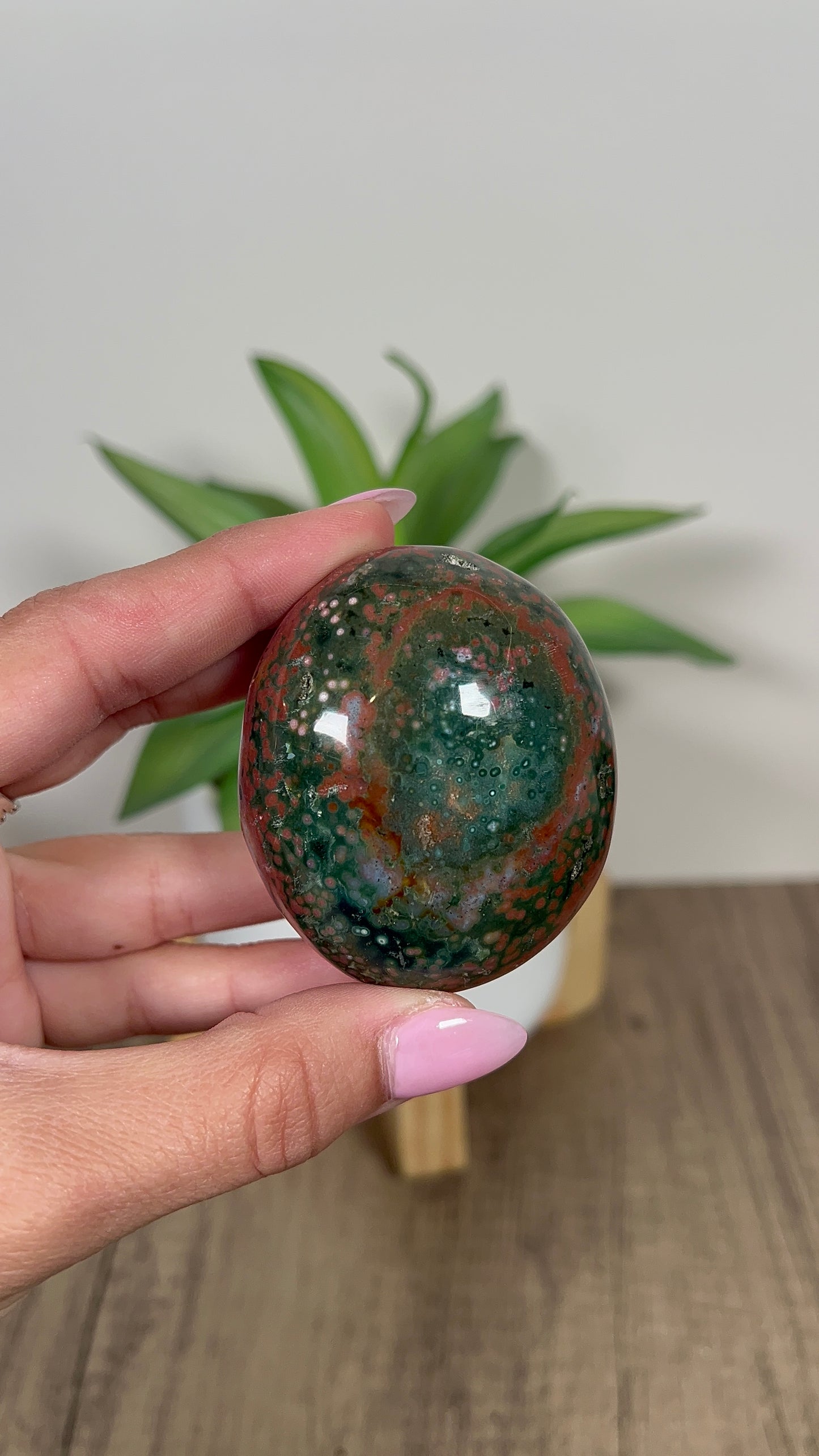 Veinless Ocean Jasper Palmstone (18r)