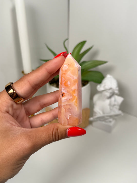 Carnelian x Flower Agate Tower (19L)