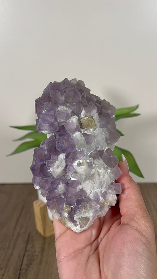 Fluorite from Yaogangxian (90)