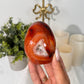 Carnelian Freeform (31L)