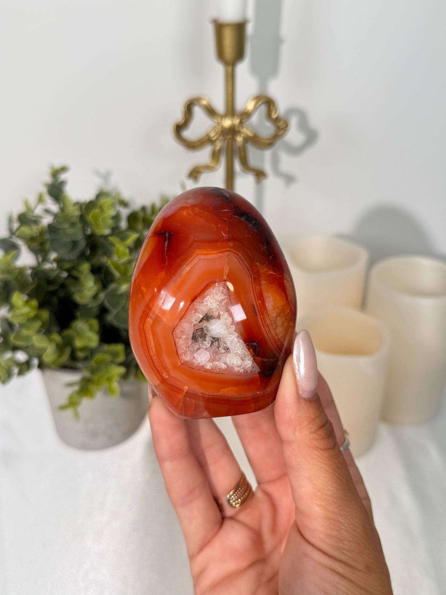 Carnelian Freeform (31L)