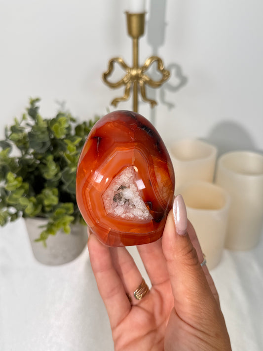 Carnelian Freeform (31L)