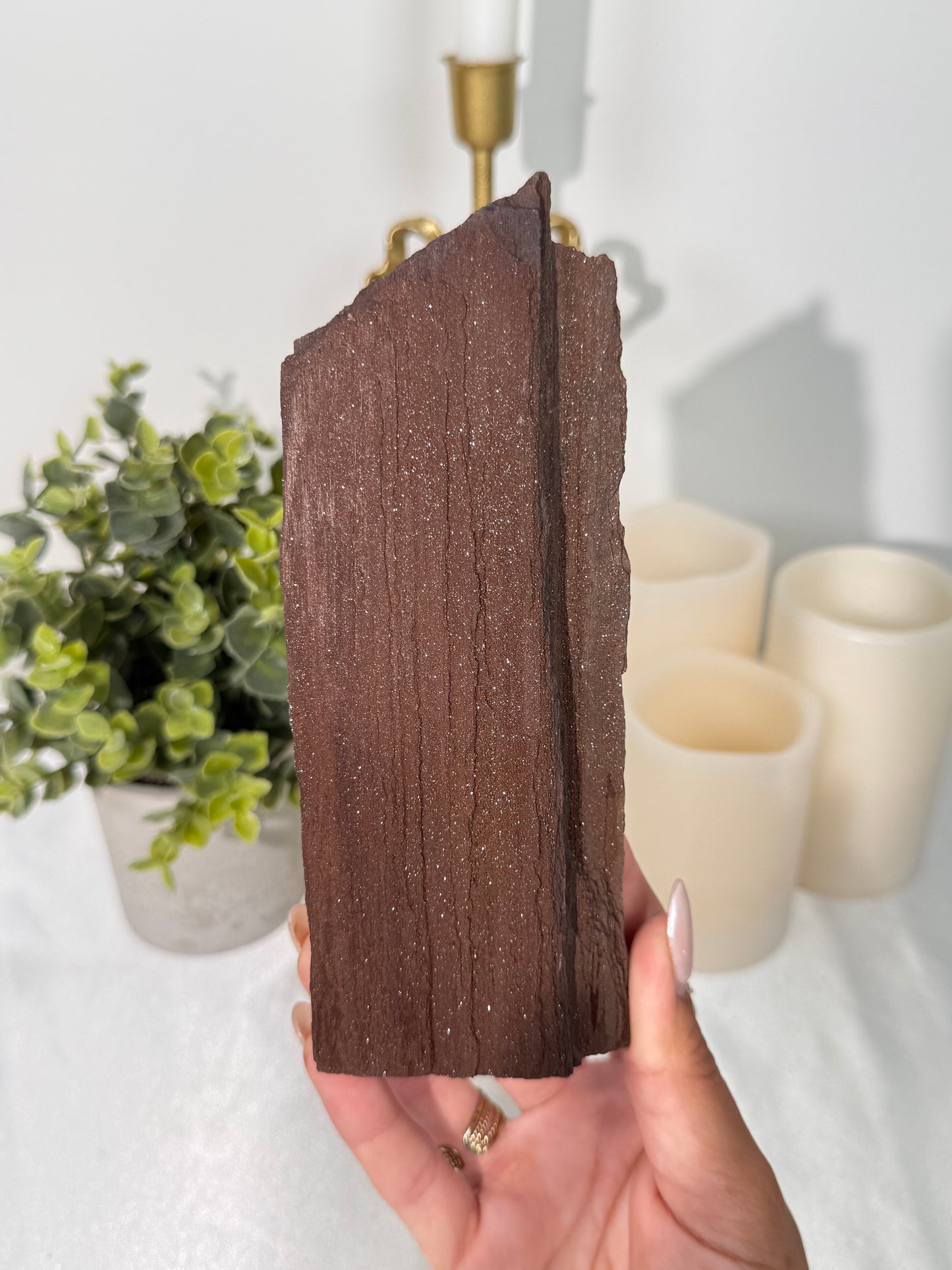 Permineralized Wood (240)