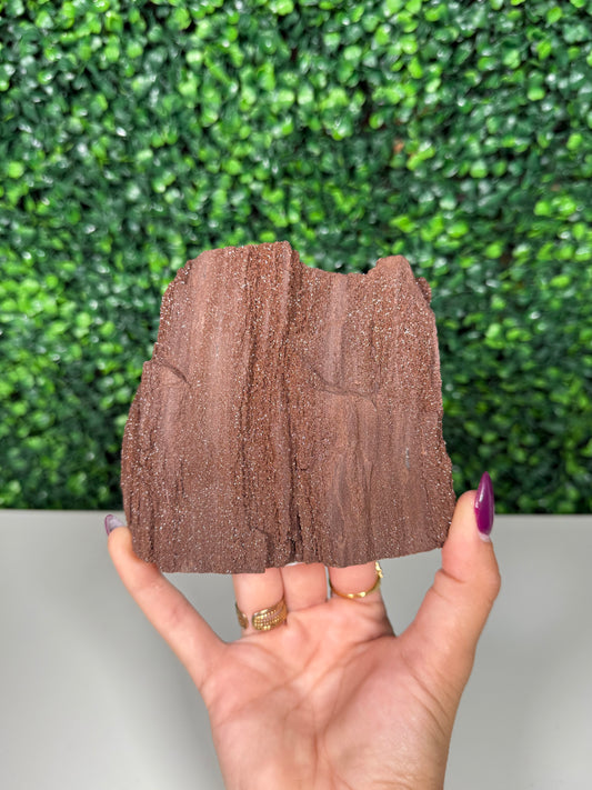 Self-Standing Permineralized Wood (270)