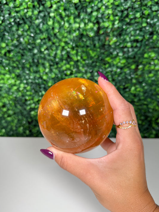 HQ Honey Calcite Sphere (505)