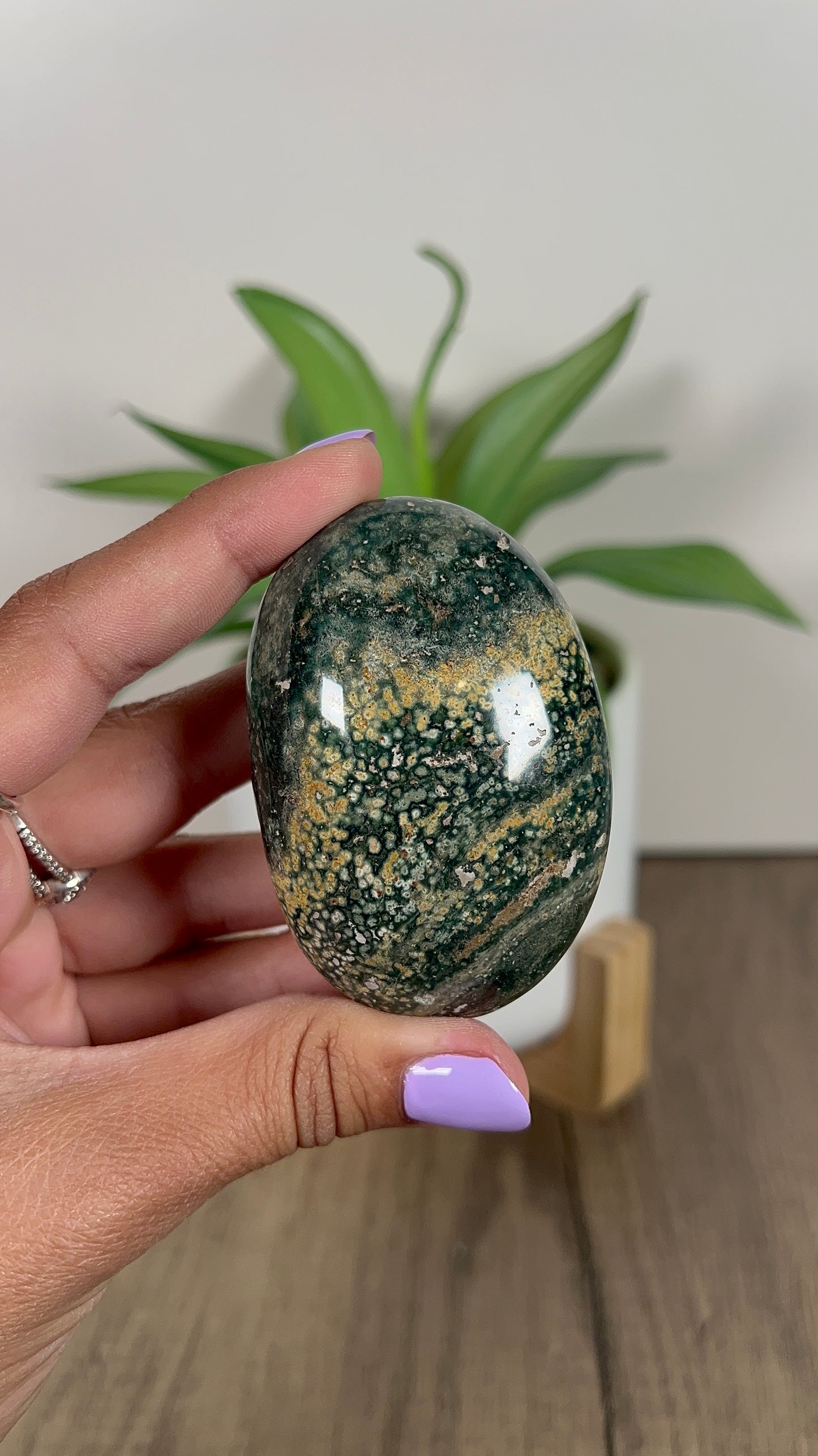 Veinless Jasper Palmstone (17h)