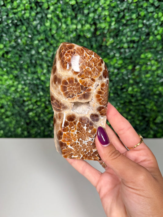 Leopardskin Calcite (67h)