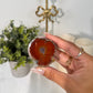 Condor Agate (58o)
