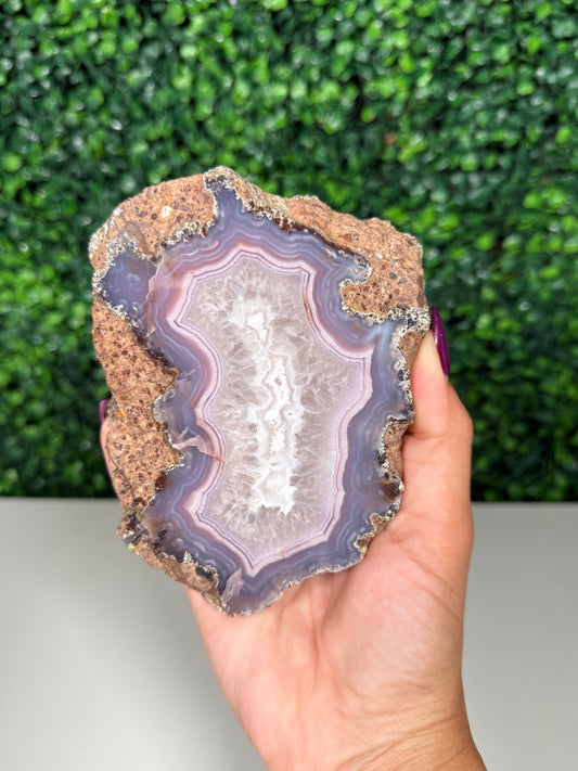 Laguna Agate (500)
