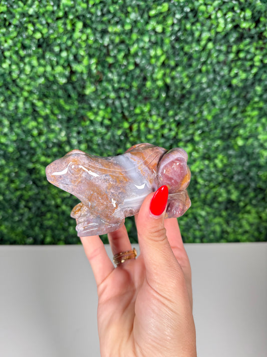 Sea Jasper Frog (40y)