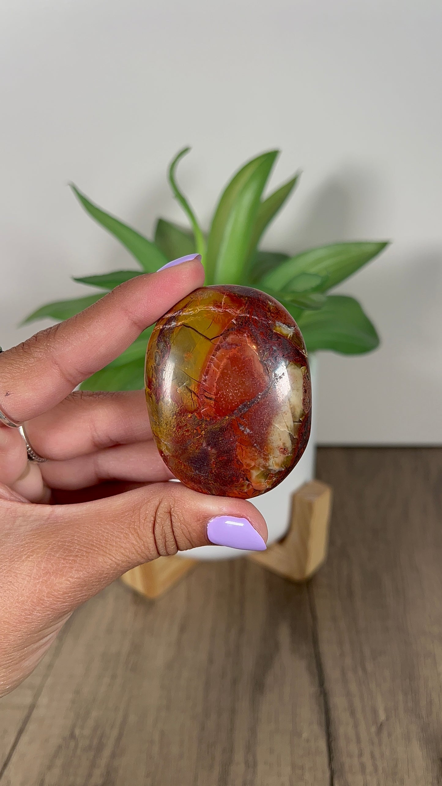 Cobra Jasper Palmstone (14u)