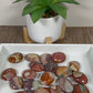 Intuitively Chosen Mini Polychrome Jasper Palmstone