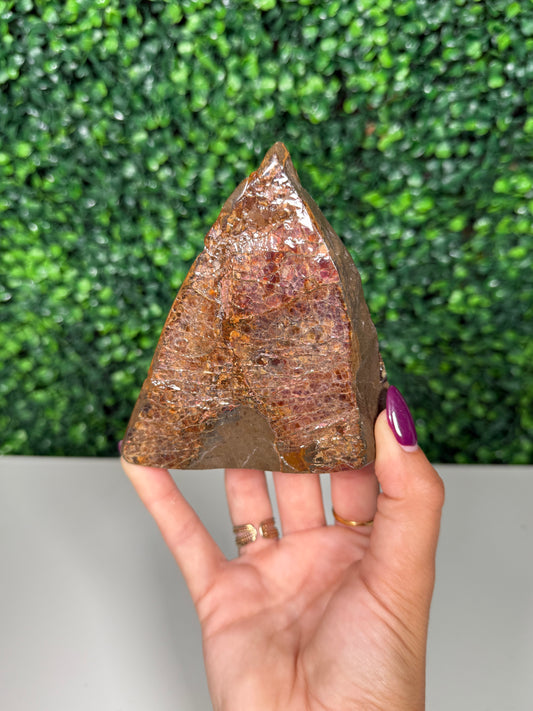Red Scale Ammolite Cutbase (80b)
