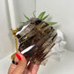Smokey Quartz Geometrical Carving (270r)