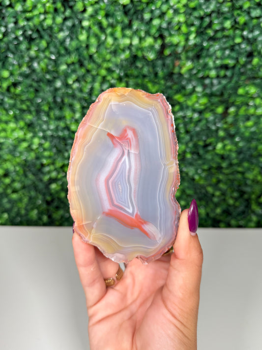 Patagonia Agate (600)
