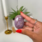 Turkish Jade Palm (28i)