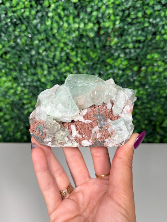 Green Apophylite Cluster (106v)