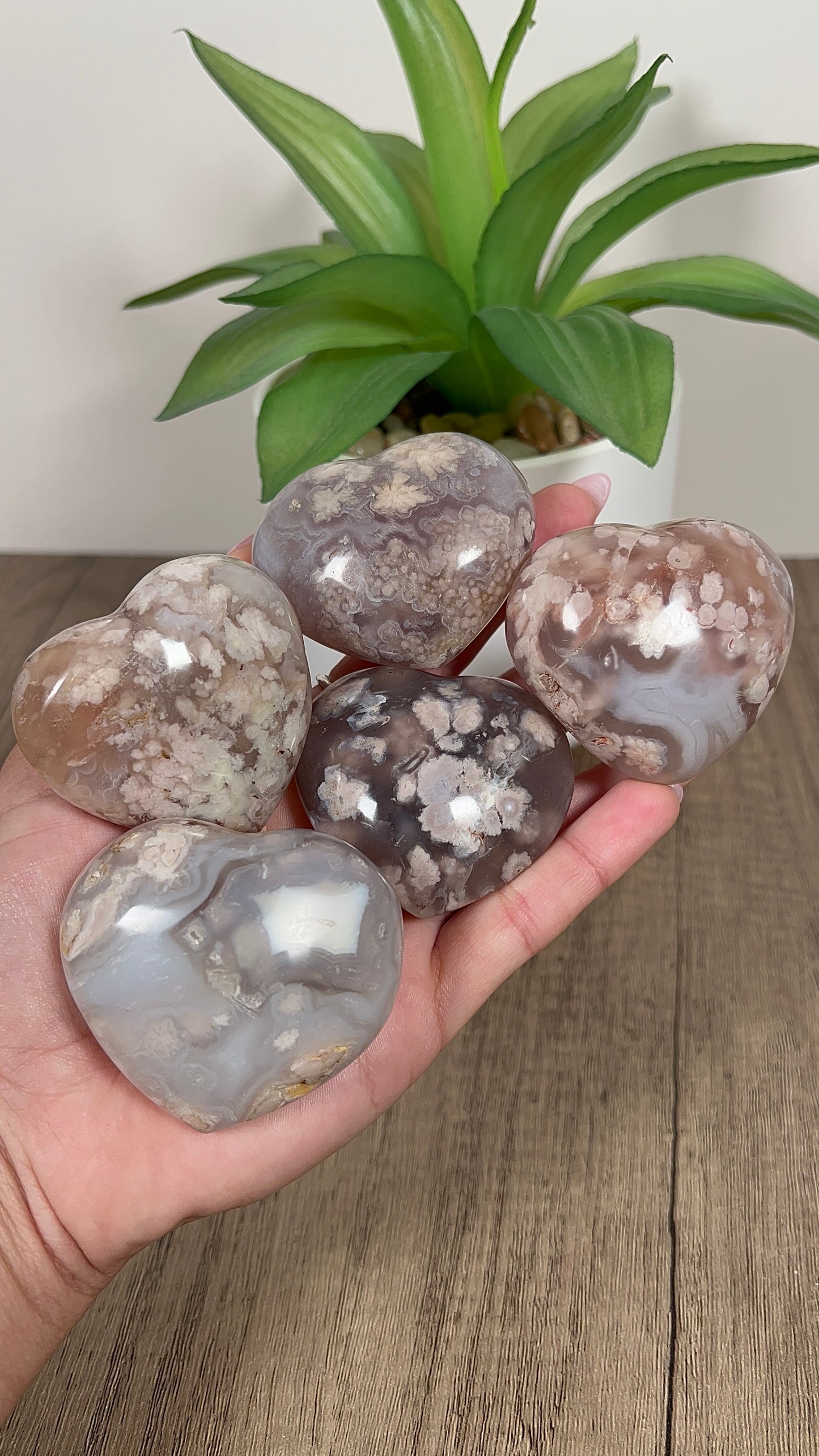 Intuitively Chosen Flower Agate Heart