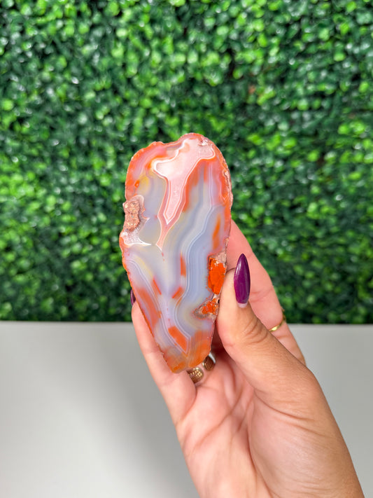 Patagonia Agate (260)