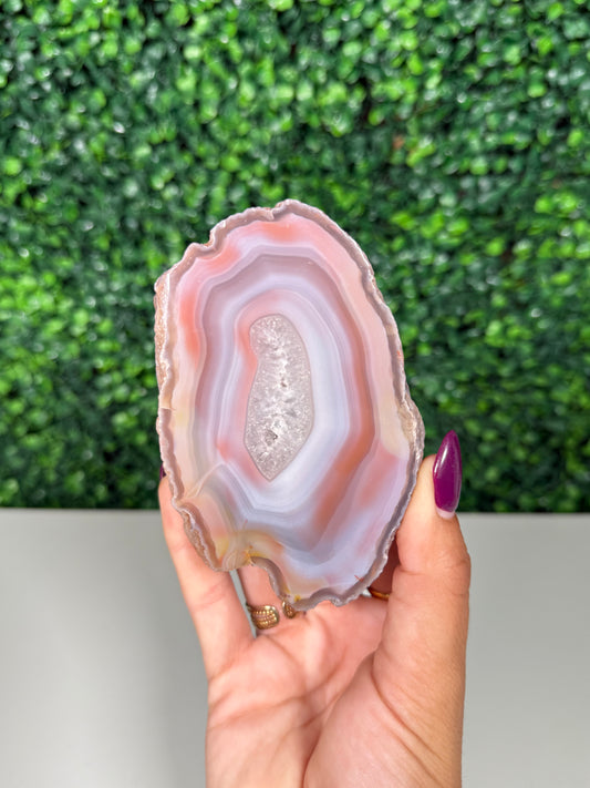 Patagonia Agate (510)