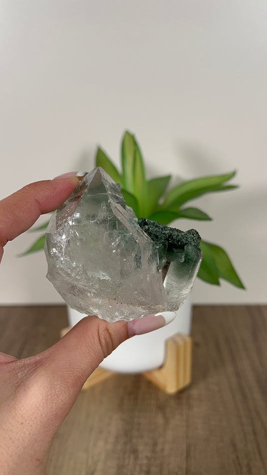 Himalayan Quartz with Green Chlorite Cluster (160)